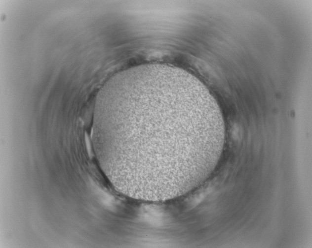 X0000088230914200706051344