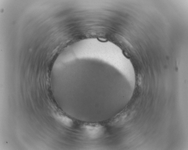 X0000088230915200706051344