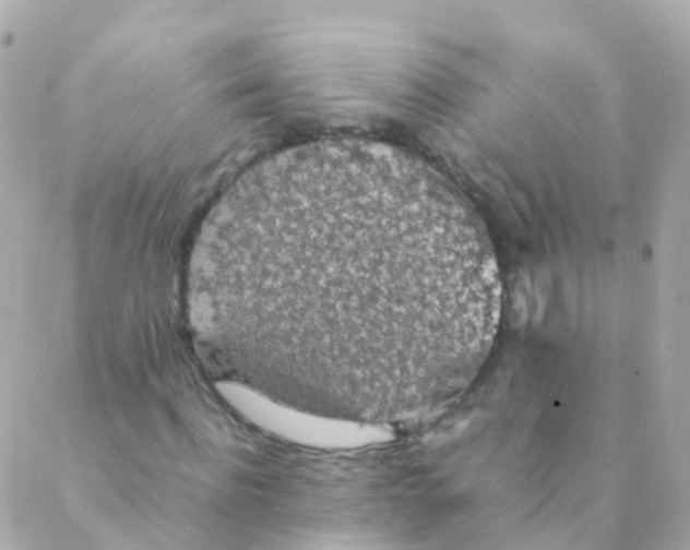 X0000088230916200706051344