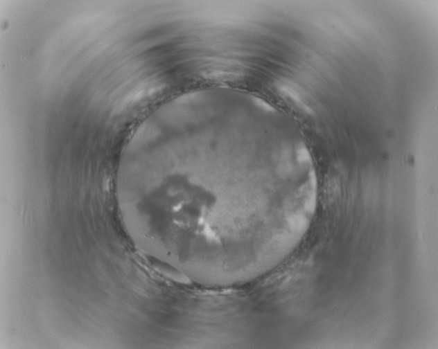 X0000088230917200706051344