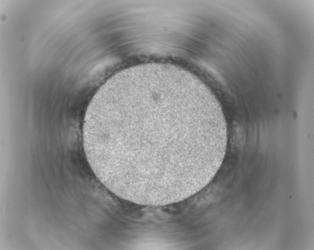 X0000088230918200706051344