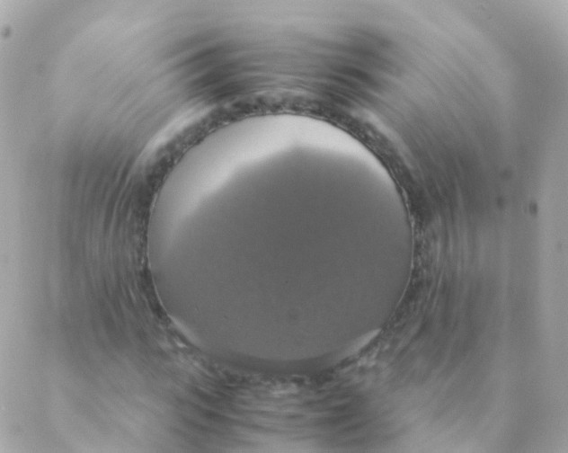 X0000088230919200706051344