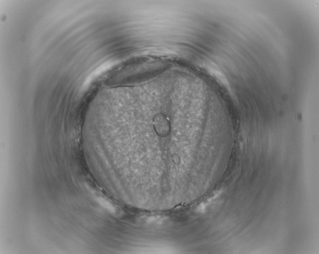 X0000088230920200706051344