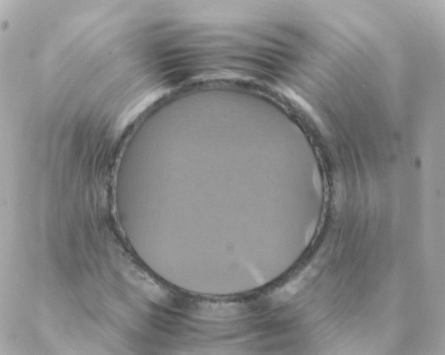 X0000088230921200706051344