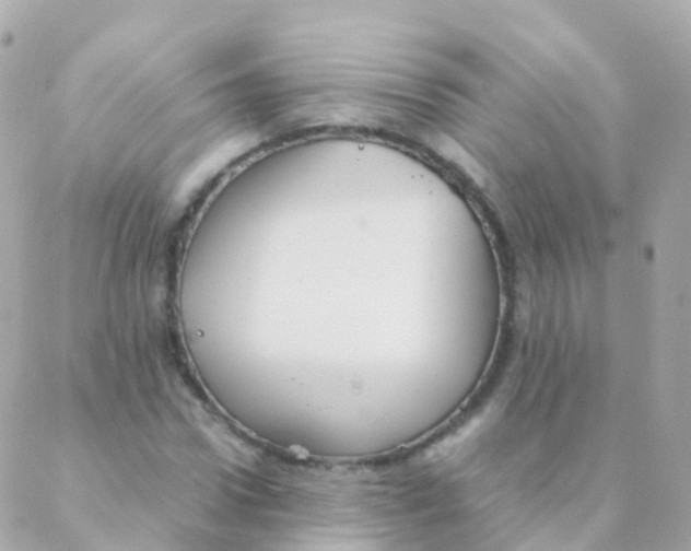 X0000088230922200706051344