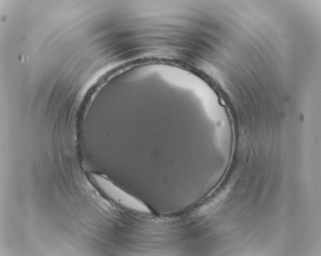 X0000088230923200706051344