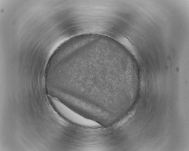 X0000088230924200706051344