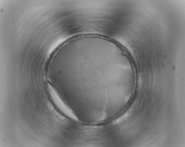 X0000088230925200706051344