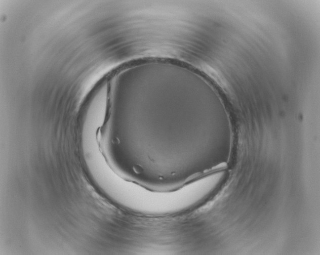 X0000088230926200706051344