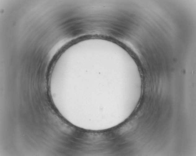 X0000088230927200706051344