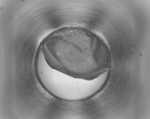 X0000088230928200706051344