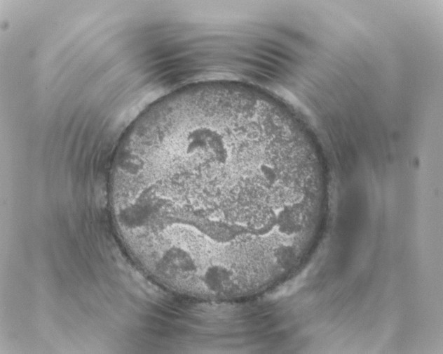 X0000088230929200706051344