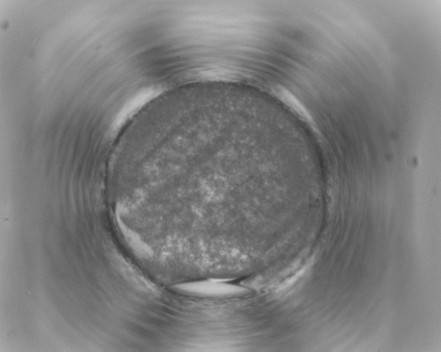 X0000088230930200706051344