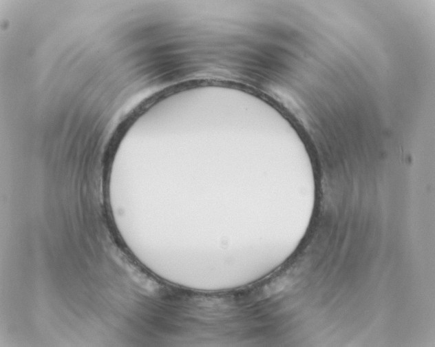 X0000088230931200706051344