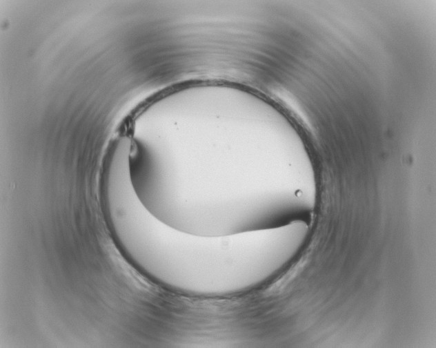 X0000088230932200706051344