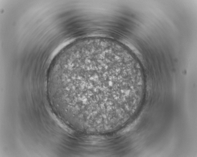 X0000088230933200706051344