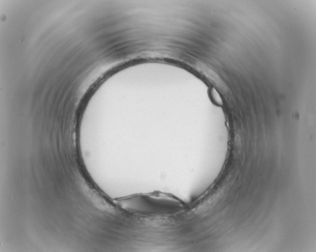 X0000088230934200706051344