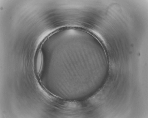 X0000088230935200706051344