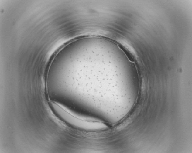 X0000088230936200706051344