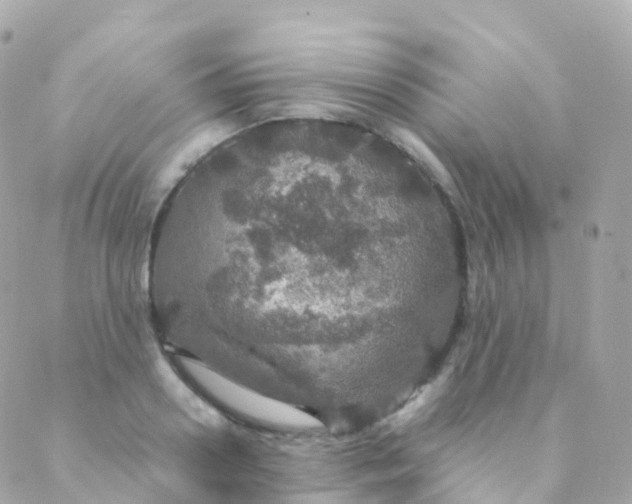 X0000088230938200706051344