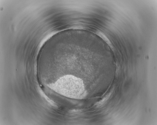 X0000088230939200706051344