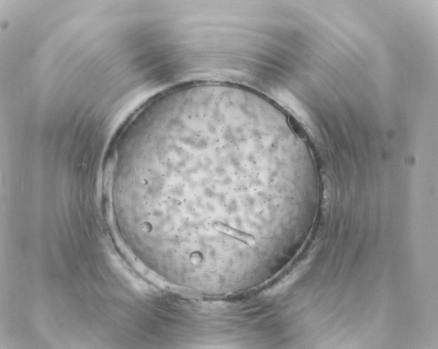 X0000088230940200706051344