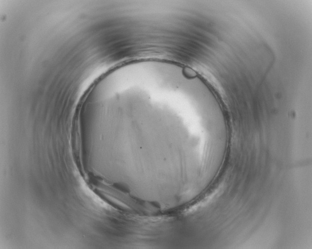 X0000088230941200706051344