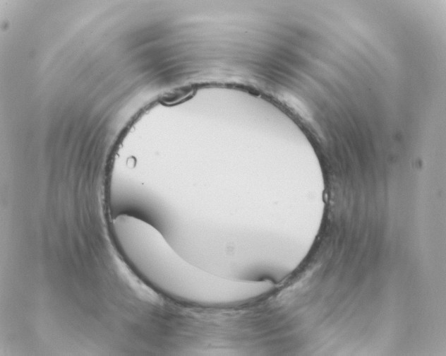 X0000088230942200706051344