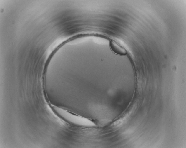 X0000088230943200706051344