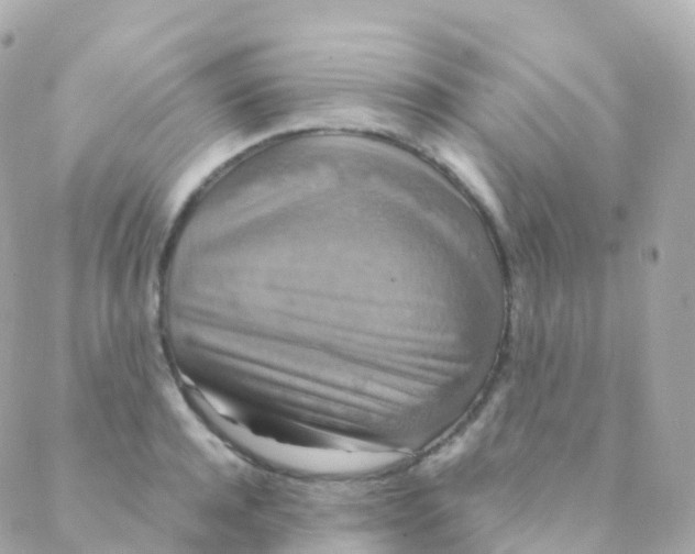 X0000088230944200706051344