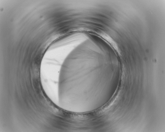 X0000088230945200706051344