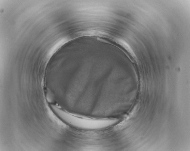 X0000088230946200706051344