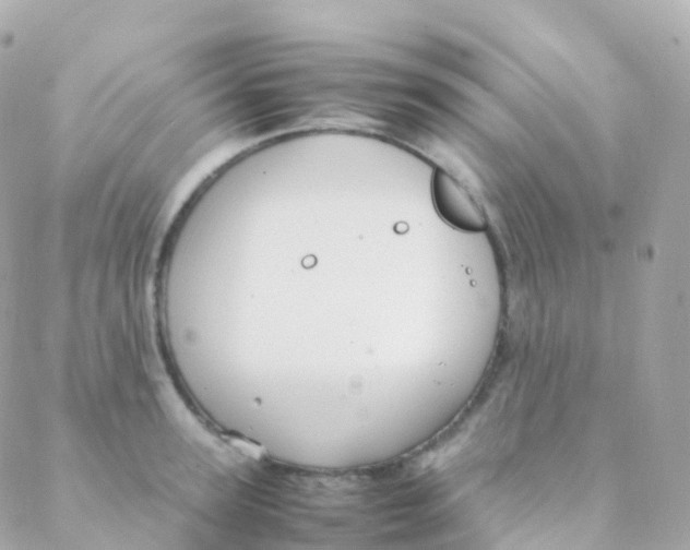 X0000088230947200706051344