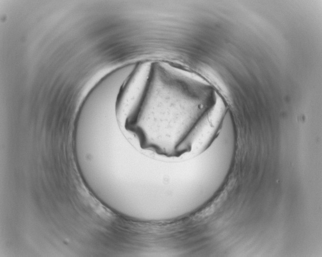 X0000088230948200706051344