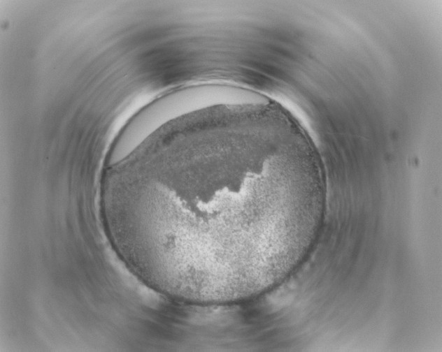 X0000088230949200706051344