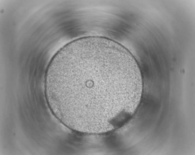 X0000088230950200706051344