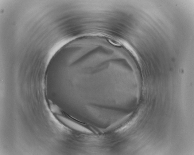 X0000088230951200706051344