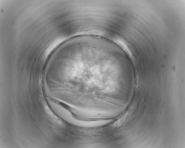 X0000088230952200706051344