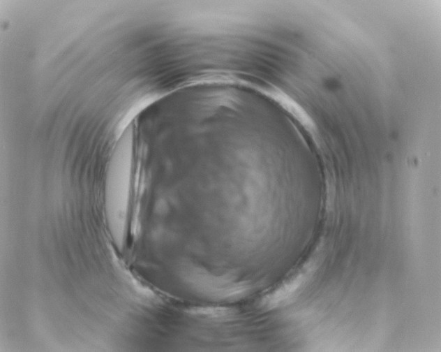 X0000088230953200706051344