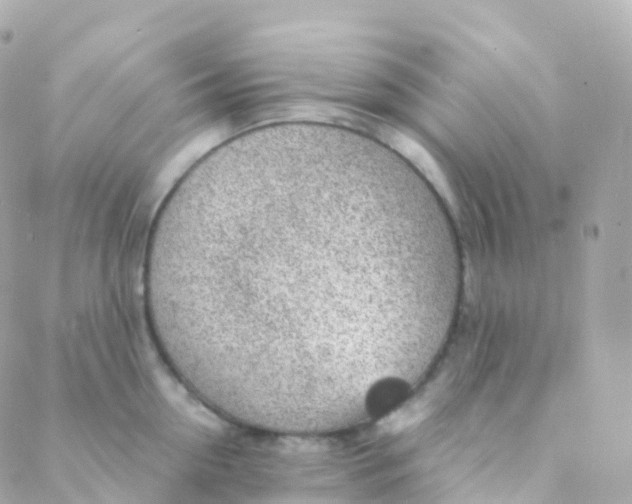 X0000088230954200706051344