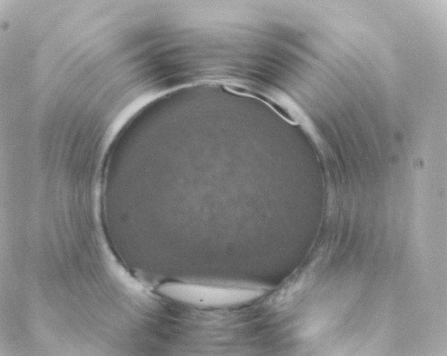 X0000088230955200706051344