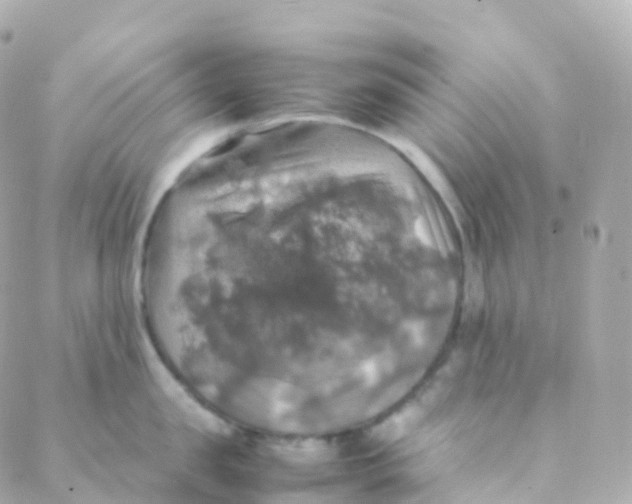 X0000088230957200706051344