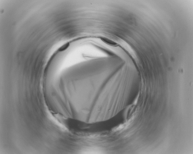 X0000088230958200706051344