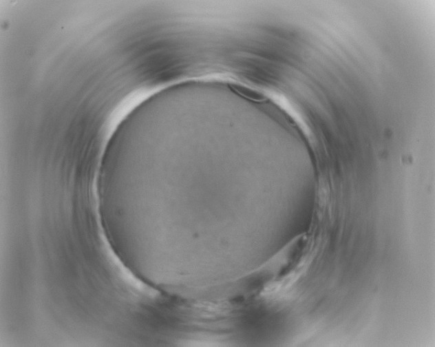 X0000088230959200706051344