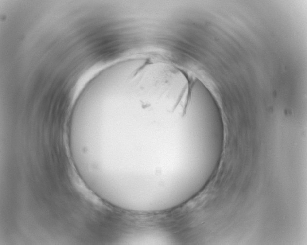 X0000088230960200706051344