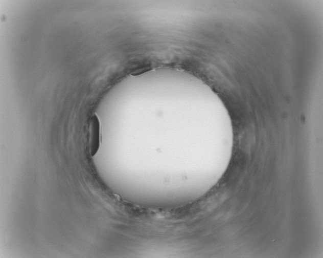 X0000088230961200706051343