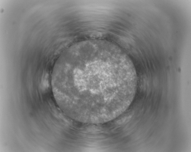 X0000088230962200706051343