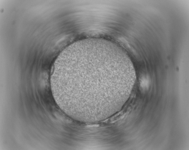 X0000088230964200706051343