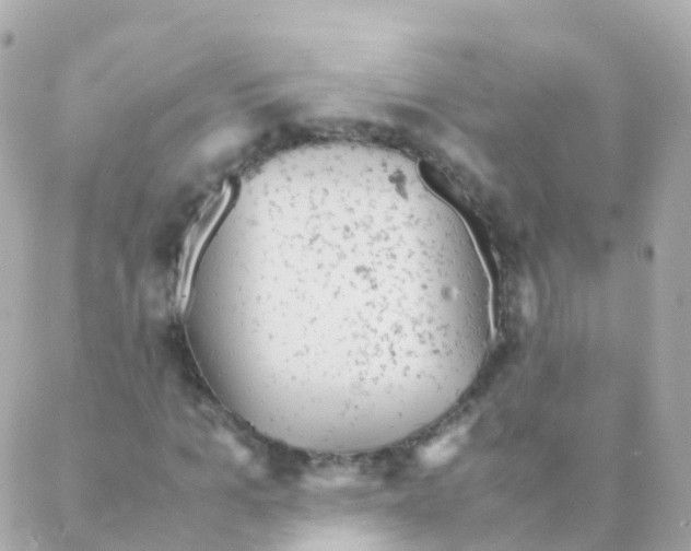 X0000088230965200706051343