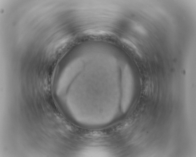 X0000088230966200706051343